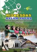 RISKESDAS dalam Angka Indonesia Tahun 2013 Buku 2